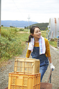 女人在田间小路上推着独轮车图片