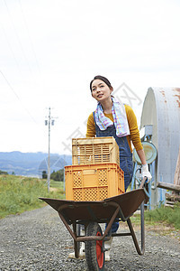 女人在田间小路上推着独轮车图片