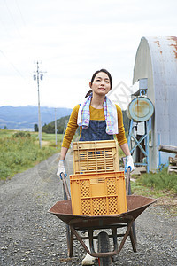 女人在田间小路上推着独轮车图片