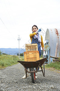 女人在田间小路上推着独轮车图片