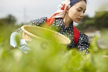  抱着竹筐的女性图片