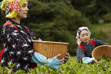  抱着竹筐行走的女性图片