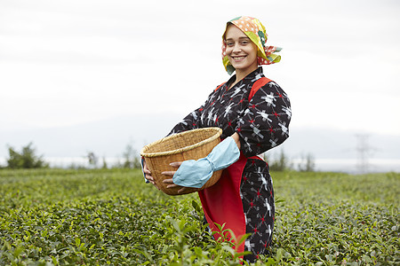  抱着竹筐的采茶外国女性图片