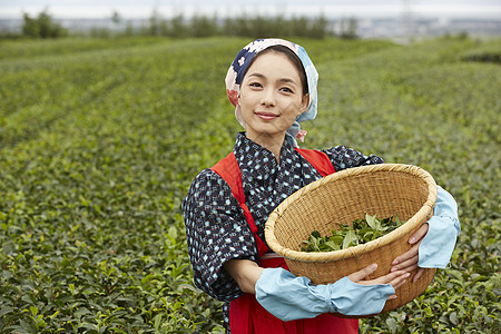  农业采茶女孩图片