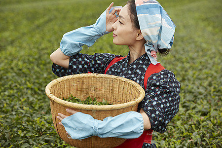  抱着竹筐的采茶女性图片