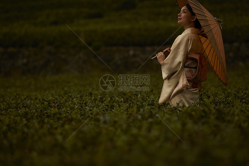 在茶园穿和服的优雅女人图片