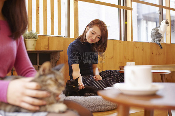 猫咪陪着女性在咖啡店工作图片
