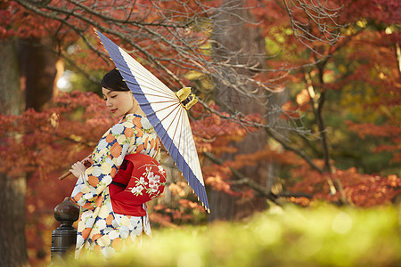 茶屋町穿着和服的女人大着伞站在枫叶前图片