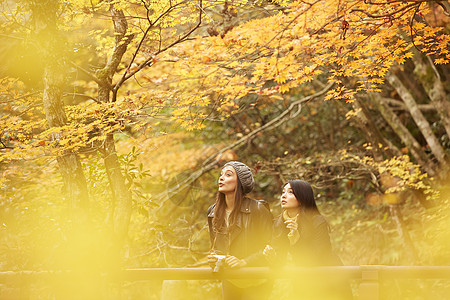 两个女人观光欣赏枫叶图片