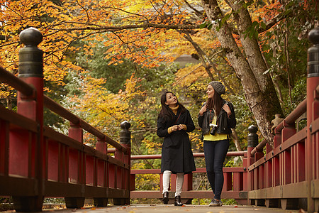 在红枫林旅游拍照的外国美女和日本美女背景图片