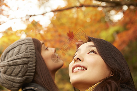 抬头仰望红枫林落叶的旅游美女背景图片