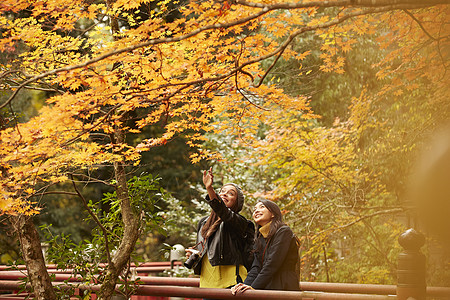 在红枫林旅游拍照的外国美女和日本美女背景图片