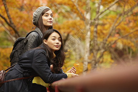 在红枫林旅游拍照的外国美女和日本美女背景图片