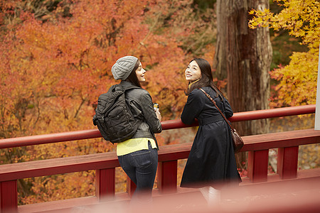 在红枫林旅游拍照的外国美女和日本美女背景图片