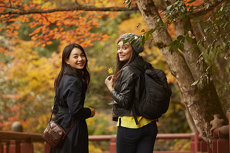 在红枫林旅游拍照的外国美女和日本美女背景图片