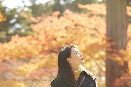 年轻女人观赏秋天枫叶图片