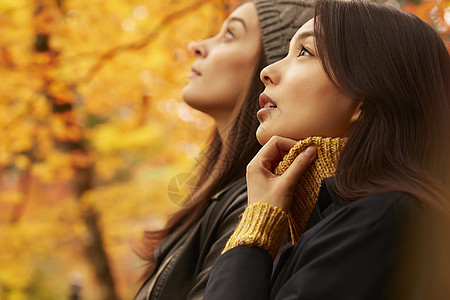 秋叶地面女人和外国友人一起观光欣赏枫叶背景