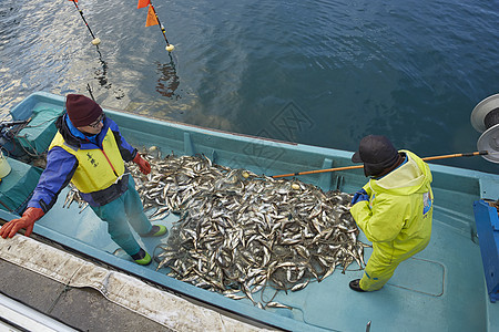 早晨在港口工作的渔民图片