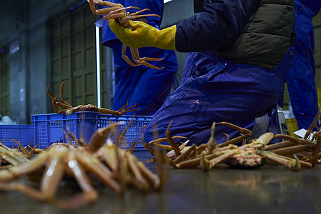 海鲜批发市场的螃蟹图片