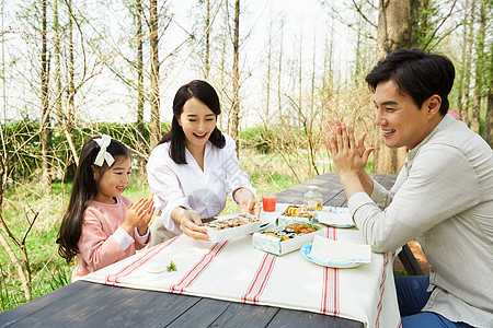 户外郊游野餐的和睦家庭背景图片