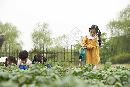 户外菜园里农作的孩子们图片