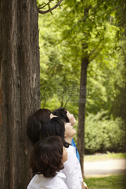 水杉伙伴同学女孩校友图片