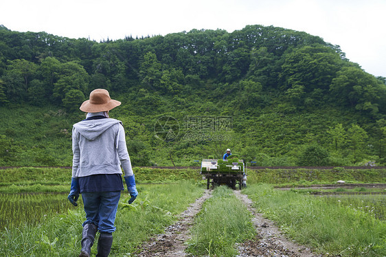 种植水稻在田地里休息的年轻农民图片