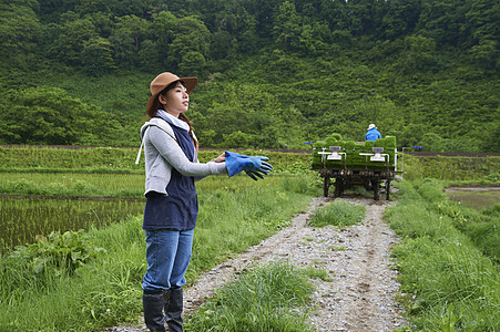 种植水稻在田地里休息的年轻农民图片