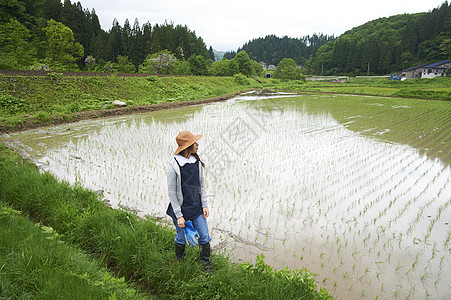 农业妇女在水稻种植地休息图片