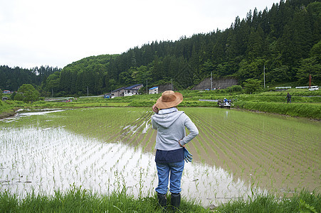 农业妇女在水稻种植地休息图片
