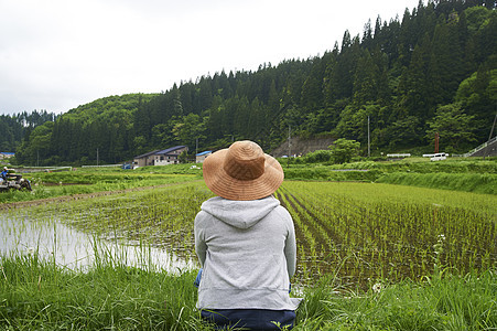 种水稻的妇女在田地里休息图片