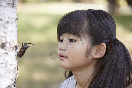 幸福儿童实地考察昆虫采集图片