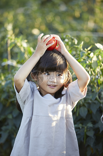 番茄儿童庄稼收获图片