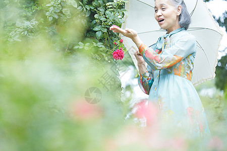 拿着遮阳伞的老年妇女在庭院里赏花图片