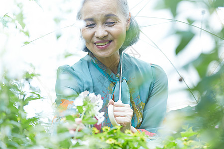 在院子里撑伞的老年阿姨高清图片