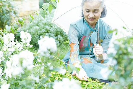 在院子里撑伞的老年阿姨图片