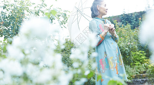 采花的老年阿姨图片