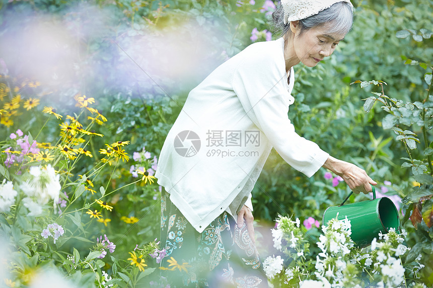 花园里拿着水壶浇水的老年女性图片