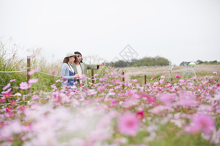 户外郊游看花田的少女图片