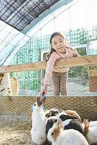 评价革命在内孩子女孩经验兔子图片