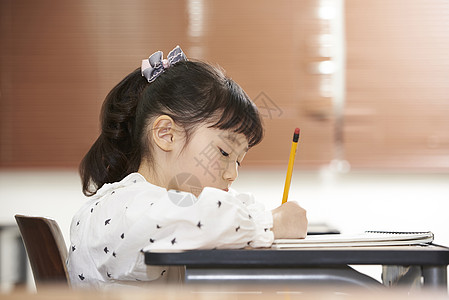 韩国女生认真学习的班级小学生背景