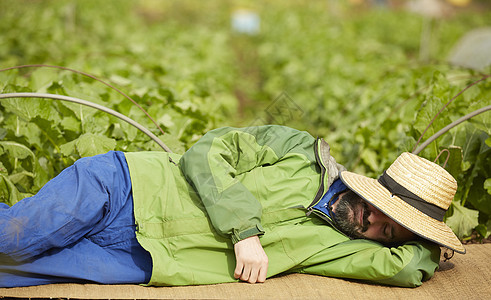 外国人体验农业种植生活图片