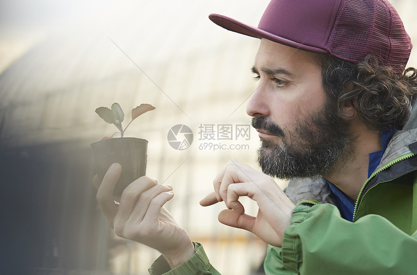 研究农作物幼苗的外国人图片