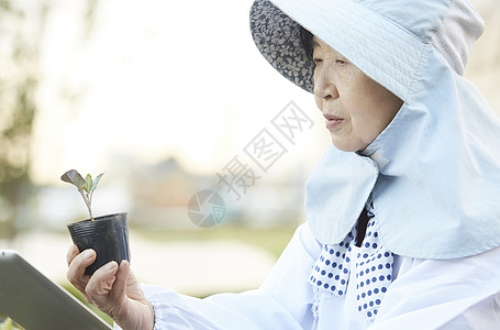 外国人体验农业种植生活图片