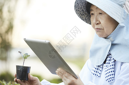 农村老人培育植物图片