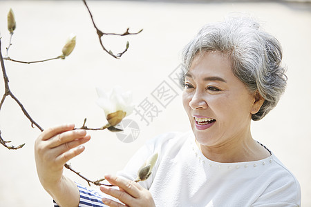 户外的生活植物老妇人春花图片