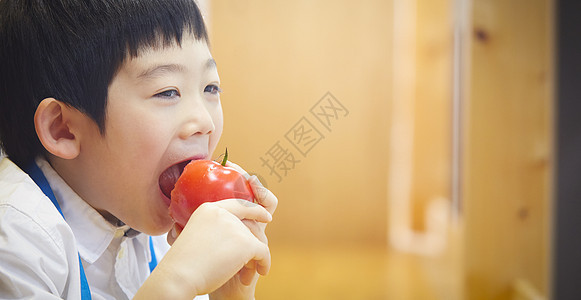 肖像日本人营养吃西红柿的孩子图片