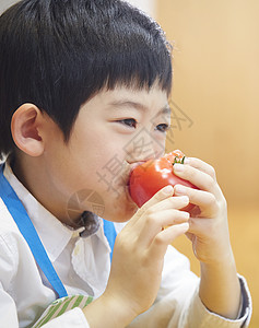 学习盘儿童吃西红柿的孩子图片