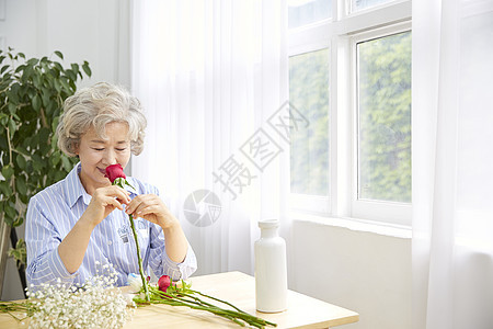 毒蛇植物分庭律师生活女人老人韩国人图片