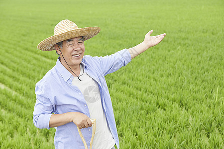 老人下农田干农活图片